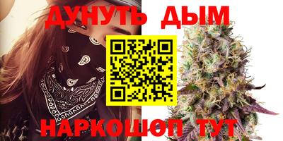 ALPHA PVP Пугачёв