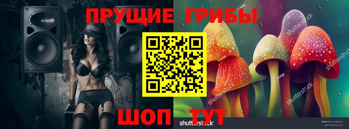 Галлюциногенные грибы Magic Shrooms  где можно купить наркотик  Татарск  Вход с VPN 